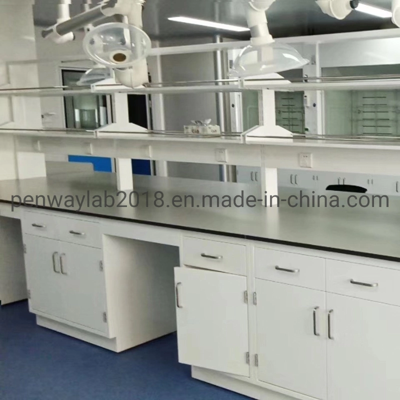 Chemistry Laboratory Table Phenolic Epoxy Resin Worktops